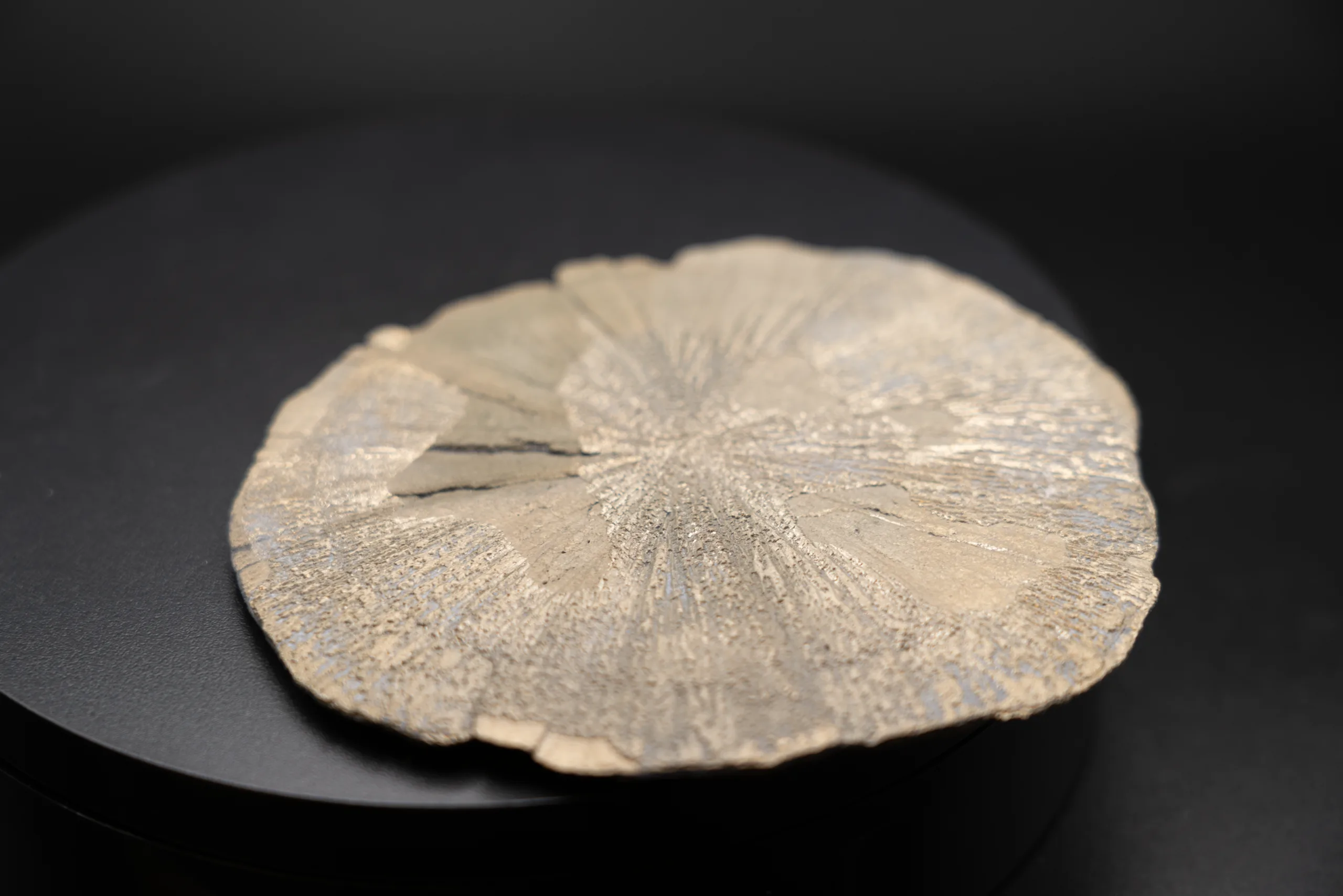 Marcassite Dollar – USA